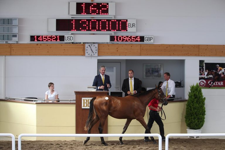 Gruppe-Platzierung für Stall Parthenaues Amazing Lips