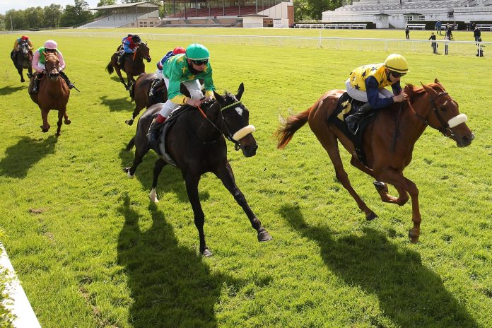 Amazing Grace (re.) und Noble Heidi