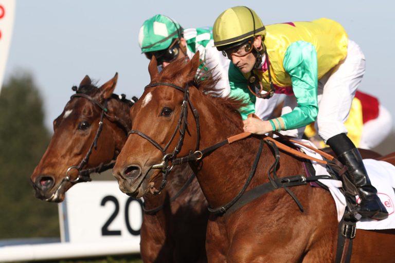 Kombi-Wetter machen sich dicke Oster-Geschenke