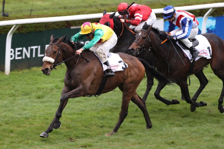 American Prince siegt