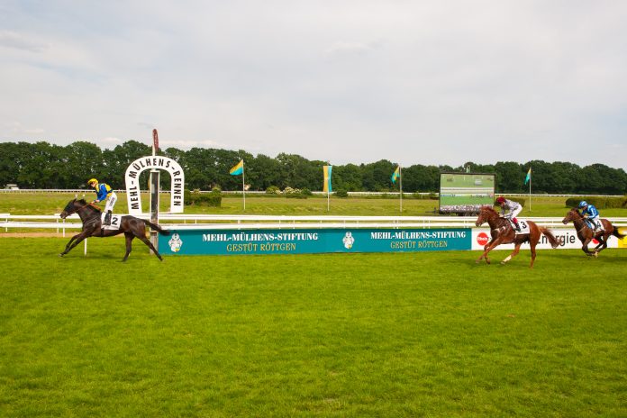 ancient_spirit_mit_filip_minarik_-_mehl-muhlens-rennen_21.05.2018_koln_c_frank_nolting