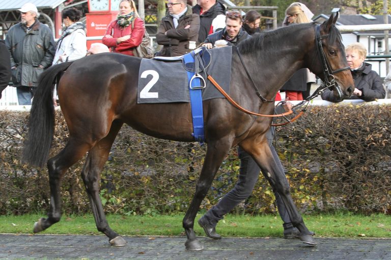 Gemischte Australien-Bilanz für Ex-Deutsche