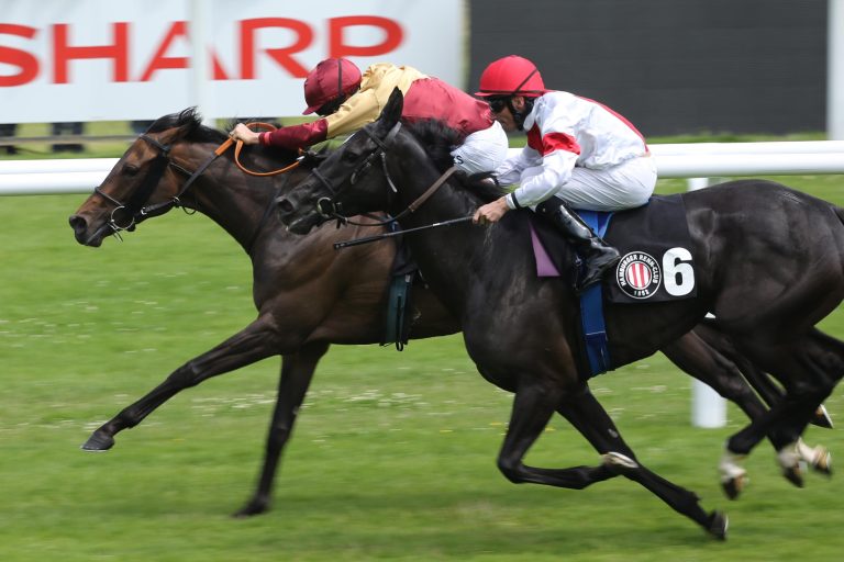 Derby-Woche startet mit „Kampf der Favoriten“