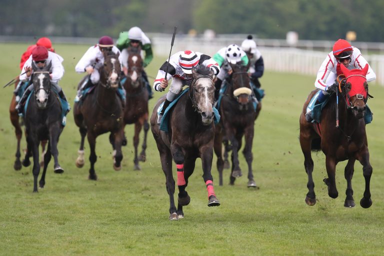 Stall ANPAK startet in Deauville