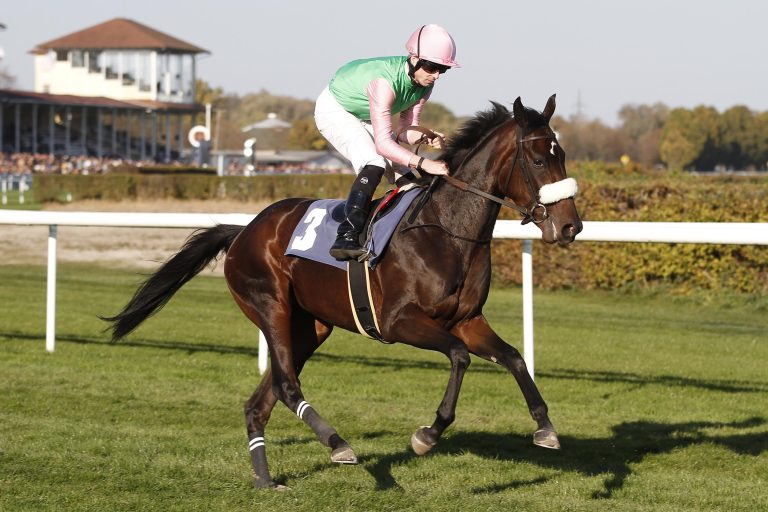 Nur 1,5 Längen geschlagen – Trotzdem Letzte