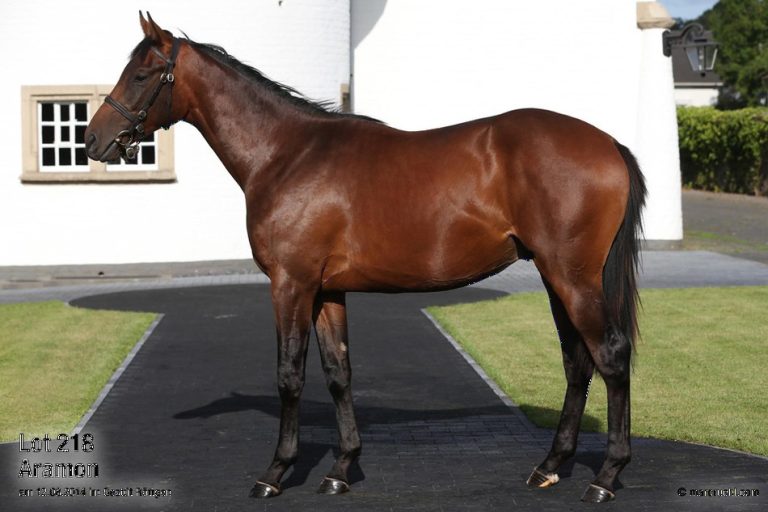 Ex-Deutscher Aramon Dritter im Gruppe I-Rennen