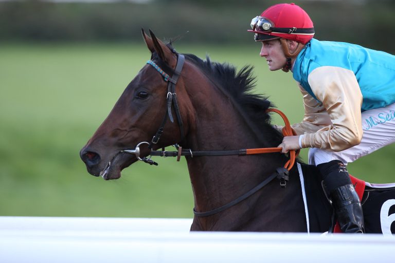 Arcado gewinnt Acatenango Derby-Trial Start-Ziel