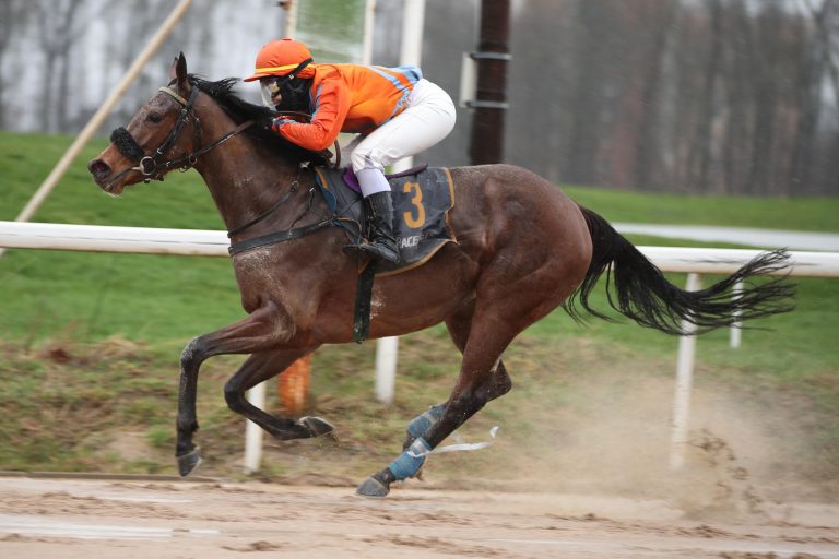 Überlegen, sechs Längen – Archie’s Sister liebt Februar