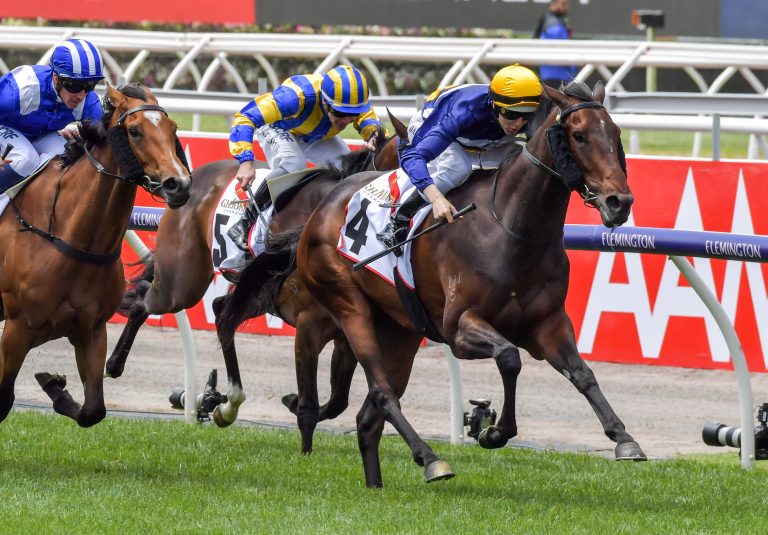 Gruppesiegerin aus einer Tiger Hill-Mutter