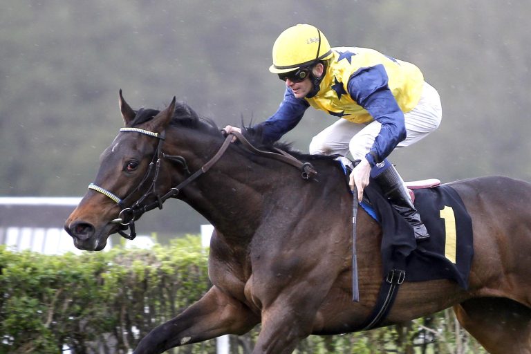 Ex-Wöhler-Stute Arles gute Zweite am „Pegasus-Tag”