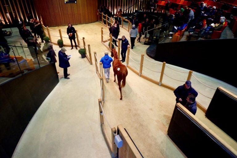 Für 520.000 Euro – Hiroyasu Tanaka kauft Tochter der Serienheilige