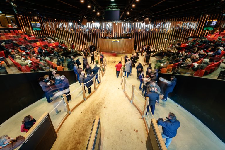 Blick in die Arqana-Auktionshalle