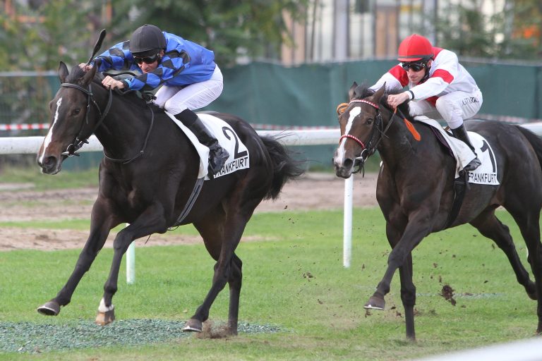 Arribia nach tollem Kampf gegen Kambria voraus
