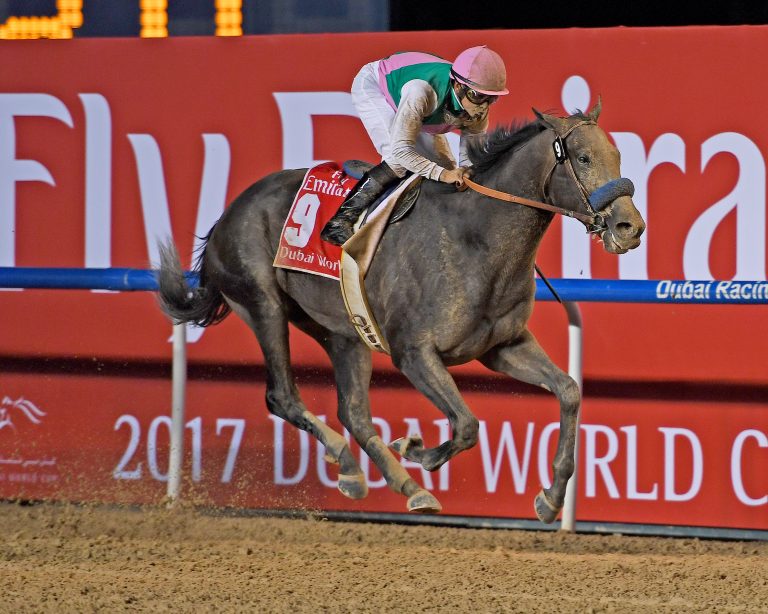Arrogate das beste Pferd, Arc das beste Rennen