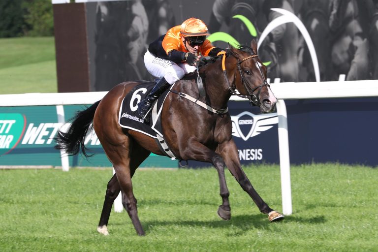 Artemia unter Rene Piechulek