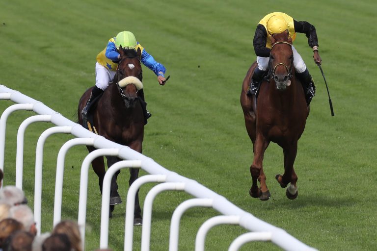 Articus ohne Chance –  Große Pläne für den Sieger