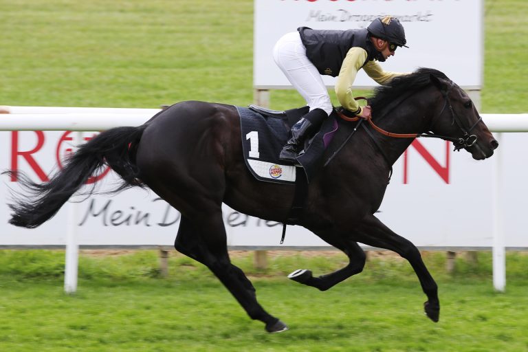 Artistico siegte sehr leicht