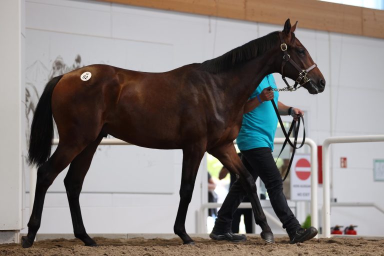 Assistent bei der BBAG