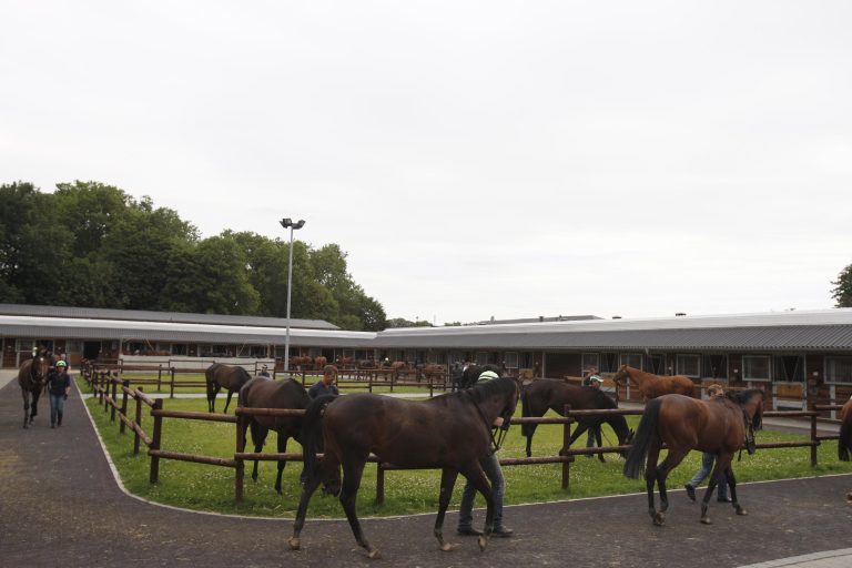 Stallparade Schiergen in der „Sport-Welt“