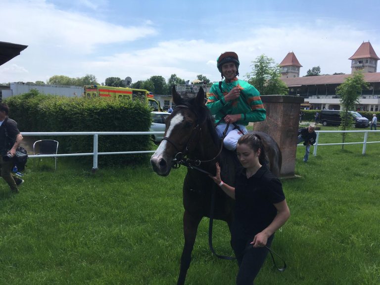 Asterix zaubert für den Stall Abrakadabra