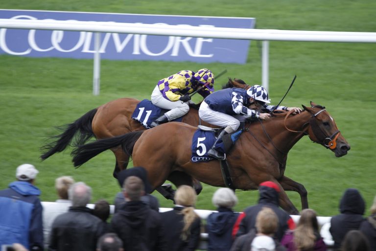 Englische Zweierwette im Coolmore Baden-Cup