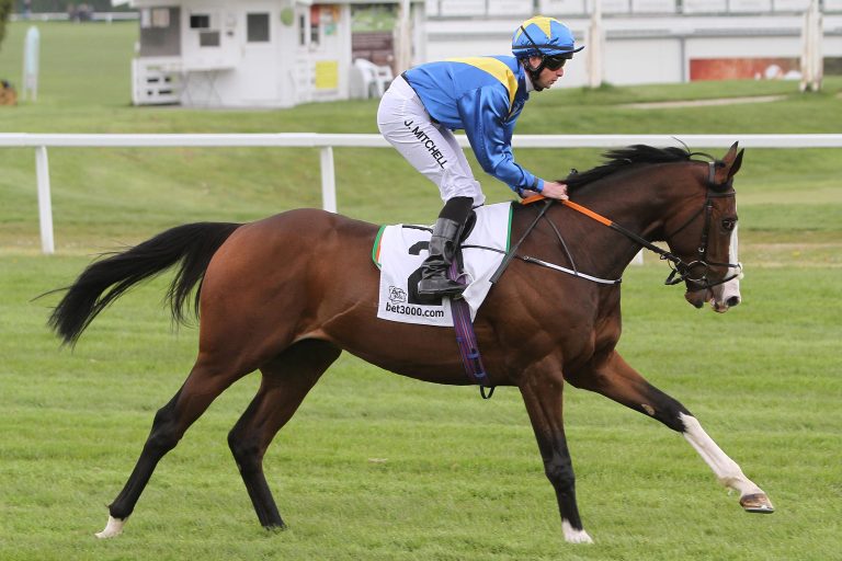 Hillis‘ Atillio siegt bei deutscher Viererwette