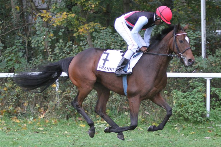 Auctorita für die Kölner Union nachgenannt