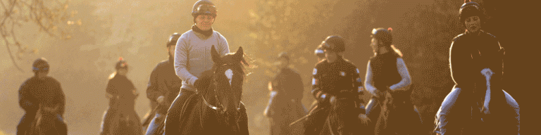 Anmelden zum Newsletter „Aufgalopp“