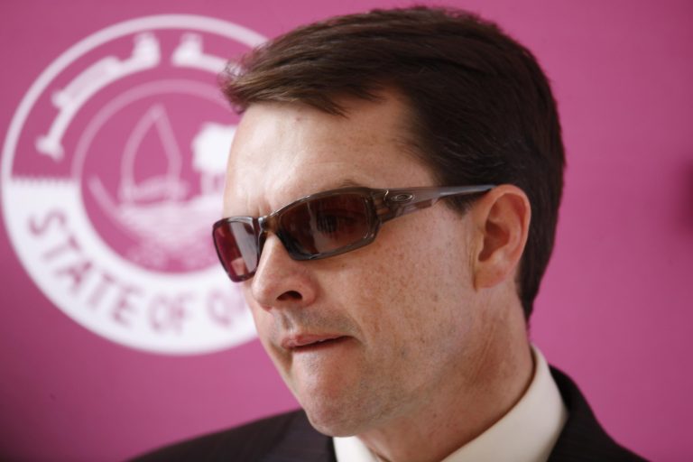 Die ersten Fohlen von Australia sind da