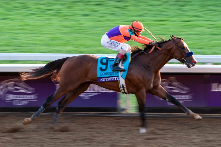 Authentic ist Pferd des Jahres