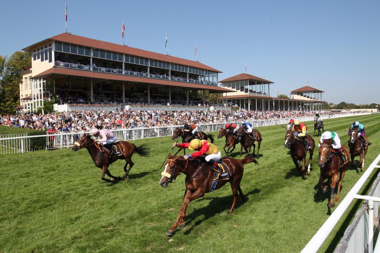 Noch bis morgen abstimmen zum Ritt des Monats September 2025