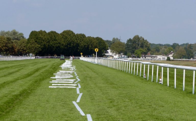 Wochentage: Iffezheimer Gerade abgesteckt