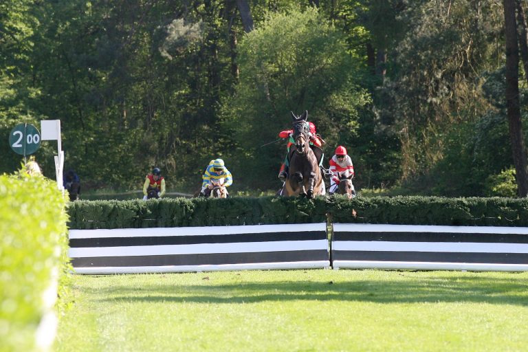 Northerly Wind entführt Badenia nach Tschechien