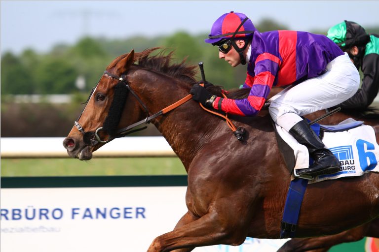 Balinus gewinnt den 23. Gelos-Triumph in Dresden