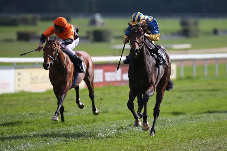 Baroness Daniela die Steher-Königin von Köln