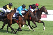 Nabucco und Pearl of Love im Mail?nder Gran Criterium