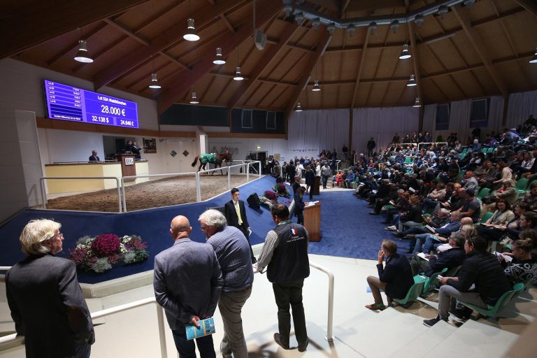 Katalog für die BBAG Frühjahrs-Auktion jetzt online