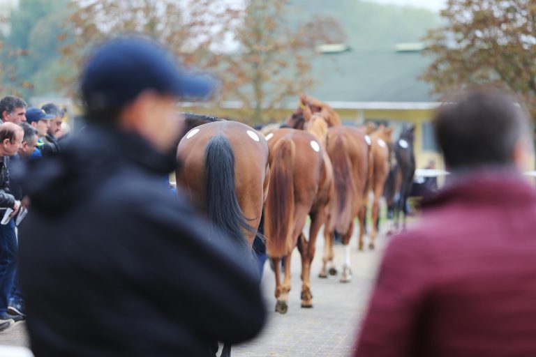 Holger Renz kauft Accon-Halbschwester