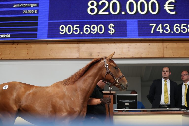 Heute Anmeldeschluss für BBAG-Jährlingsauktion