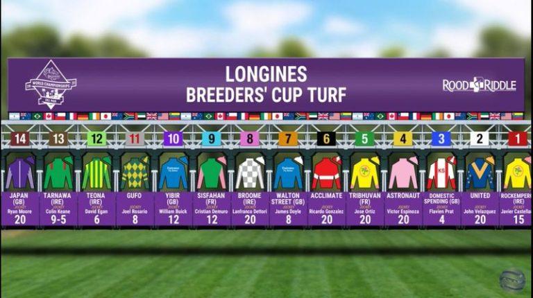 Das Starterfeld für den Breeders' Cup Turf 2021