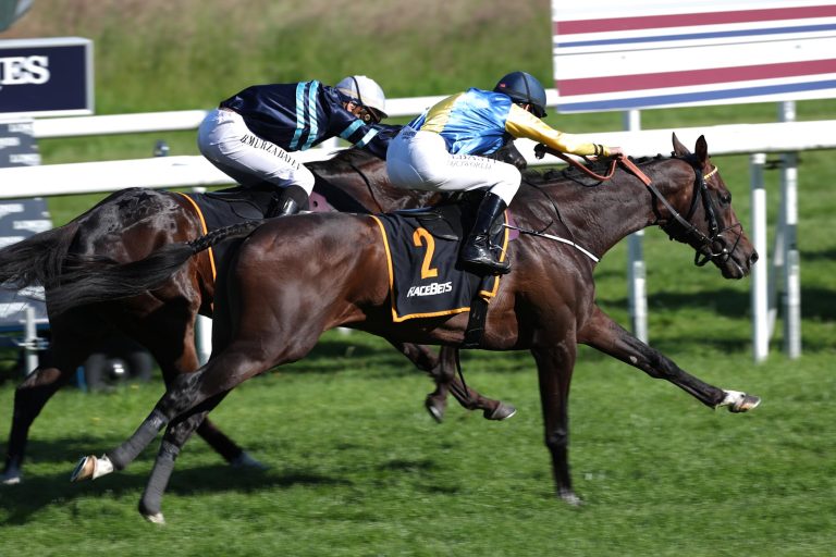 Über Baden-Baden nach Hamburg