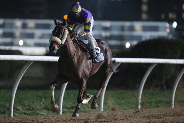 „Beetle“ der Star – Schus Schimmel schlagen zu