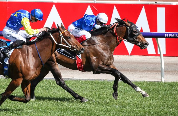 best_of_daysracing_photos