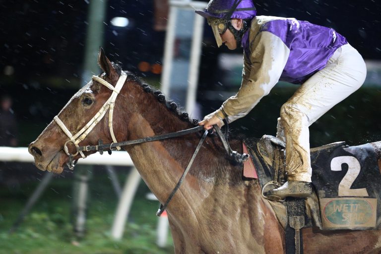 Better On Sunday nach Reclamer-Sieg verteidigt