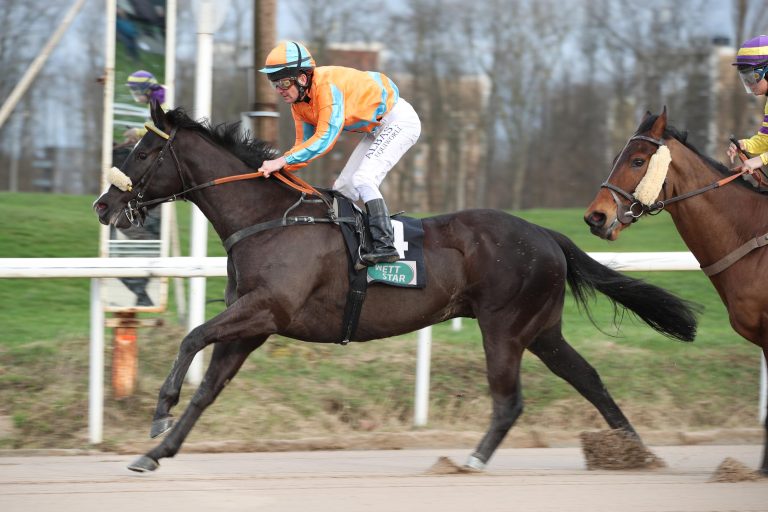 Bobby’s Charm und Thunder Light zum Dritten