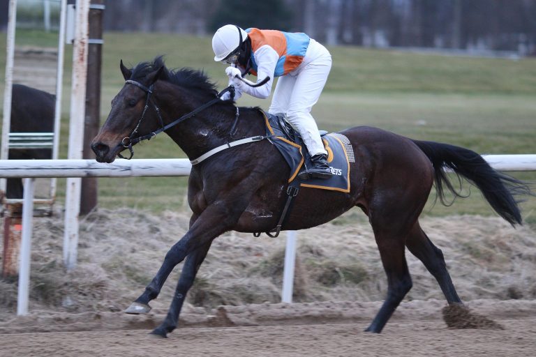 Wintermeisterin kommt aus den Niederlanden