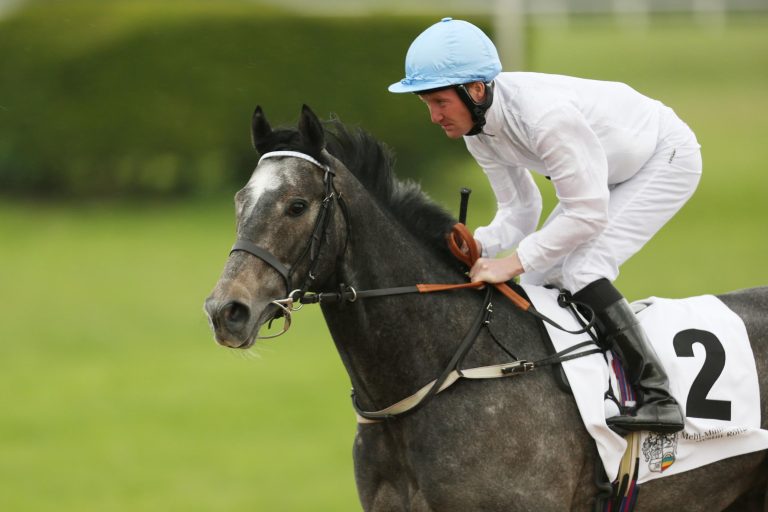Frankfurter Finale mit Hessen-Pokal