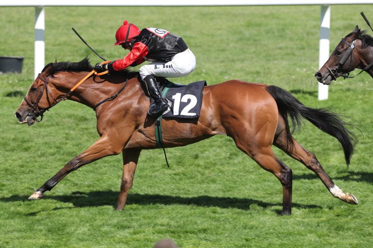 Boy Charlton unter Andre Best