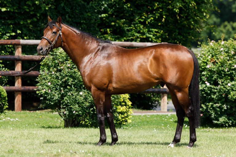 Hausnummer für Brametot: Coimbra erste Siegerin
