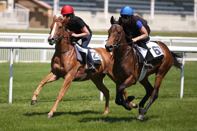 Die Tageshighlights für den 31. Mai